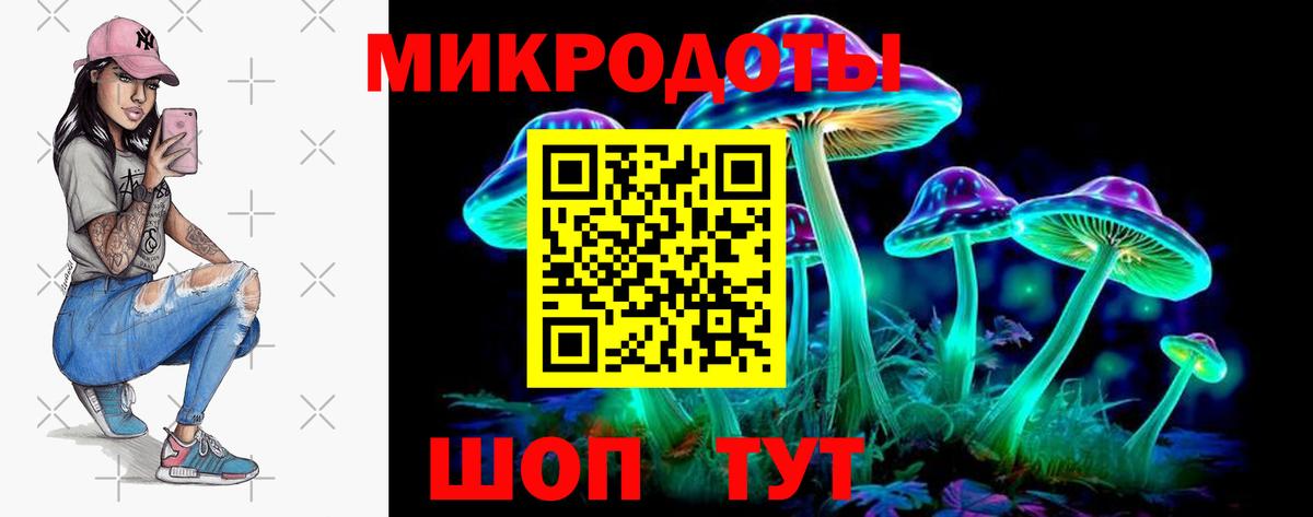 Псилоцибиновые грибы Cubensis  Вход с VPN  Кашира 